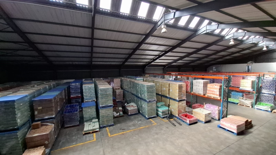 To Let commercial Property for Rent in Brackenfell Industrial Western Cape